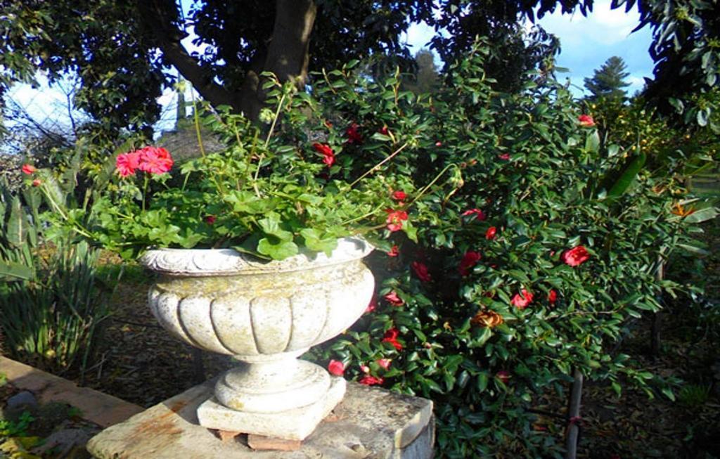 Baglio Delle Rose Bed & Breakfast Giarre Exterior photo