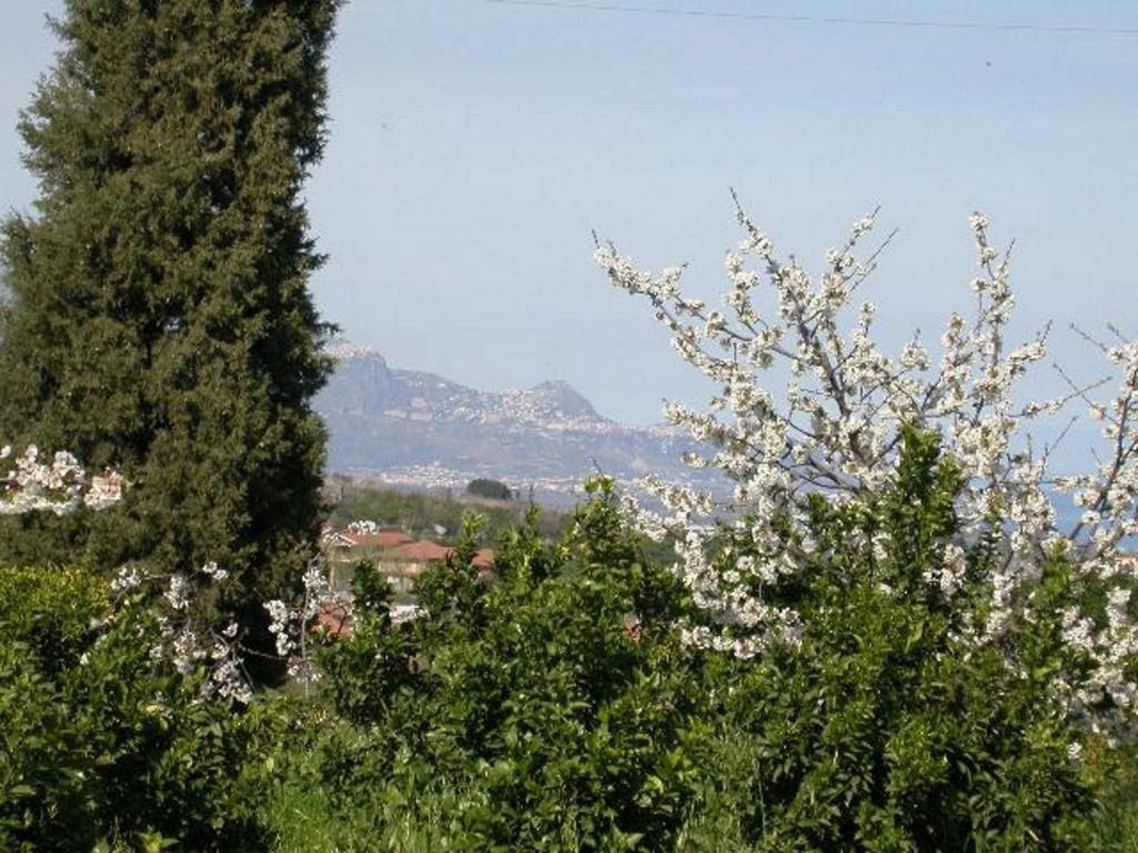Baglio Delle Rose Bed & Breakfast Giarre Exterior photo